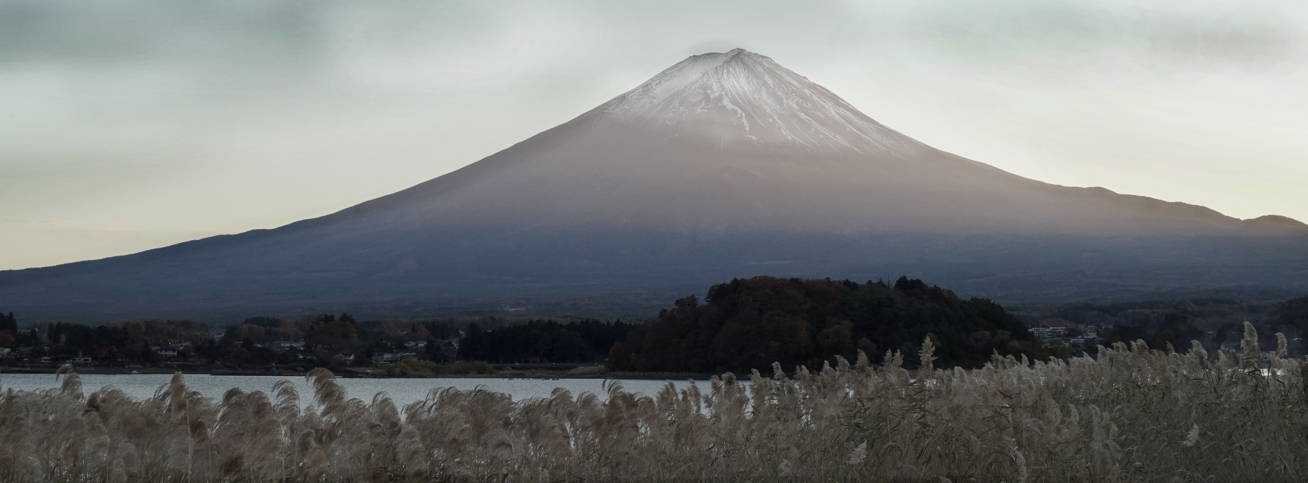 Mt. Fuji